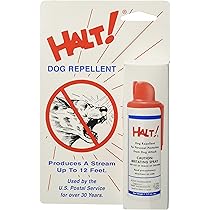 weight loss dog food for senior dogs