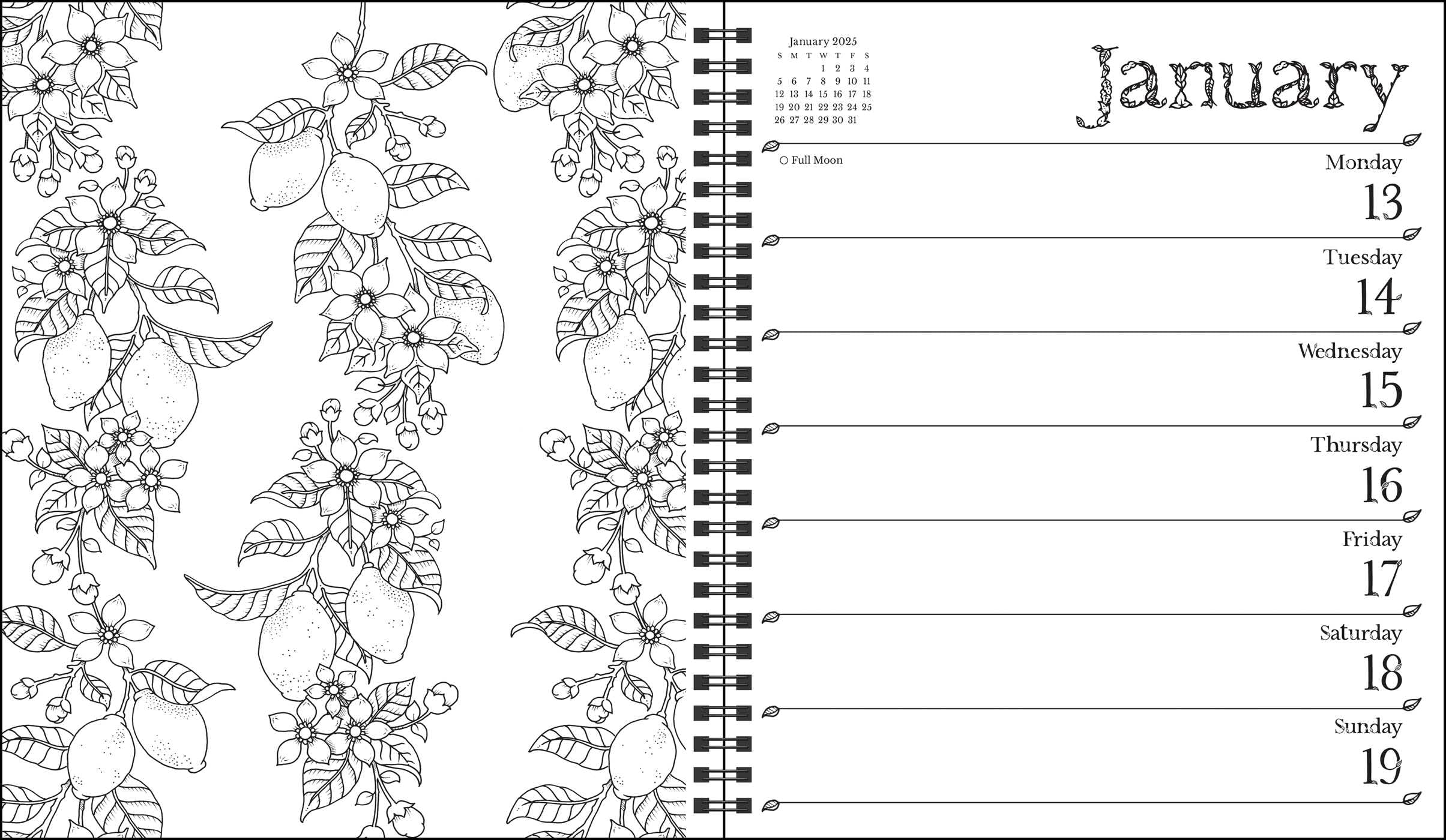 Mua Johanna Basford 12Month 2025 Weekly Coloring Calendar A Special