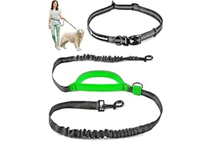 PET DREAMLAND Exquisite Hands-Free Dog Leash: Perfect for Active Pet Owners Comfortable, Durable & Ideal for Running, Walking, Hiking. Premium Large Dog Waist Leash with Bungee. Must-Have Dog Gear
