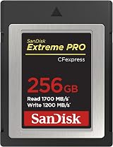 SanDisk Extreme PRO CFexpress Type B 256GB 1700MB/S RAW 4K Video Card