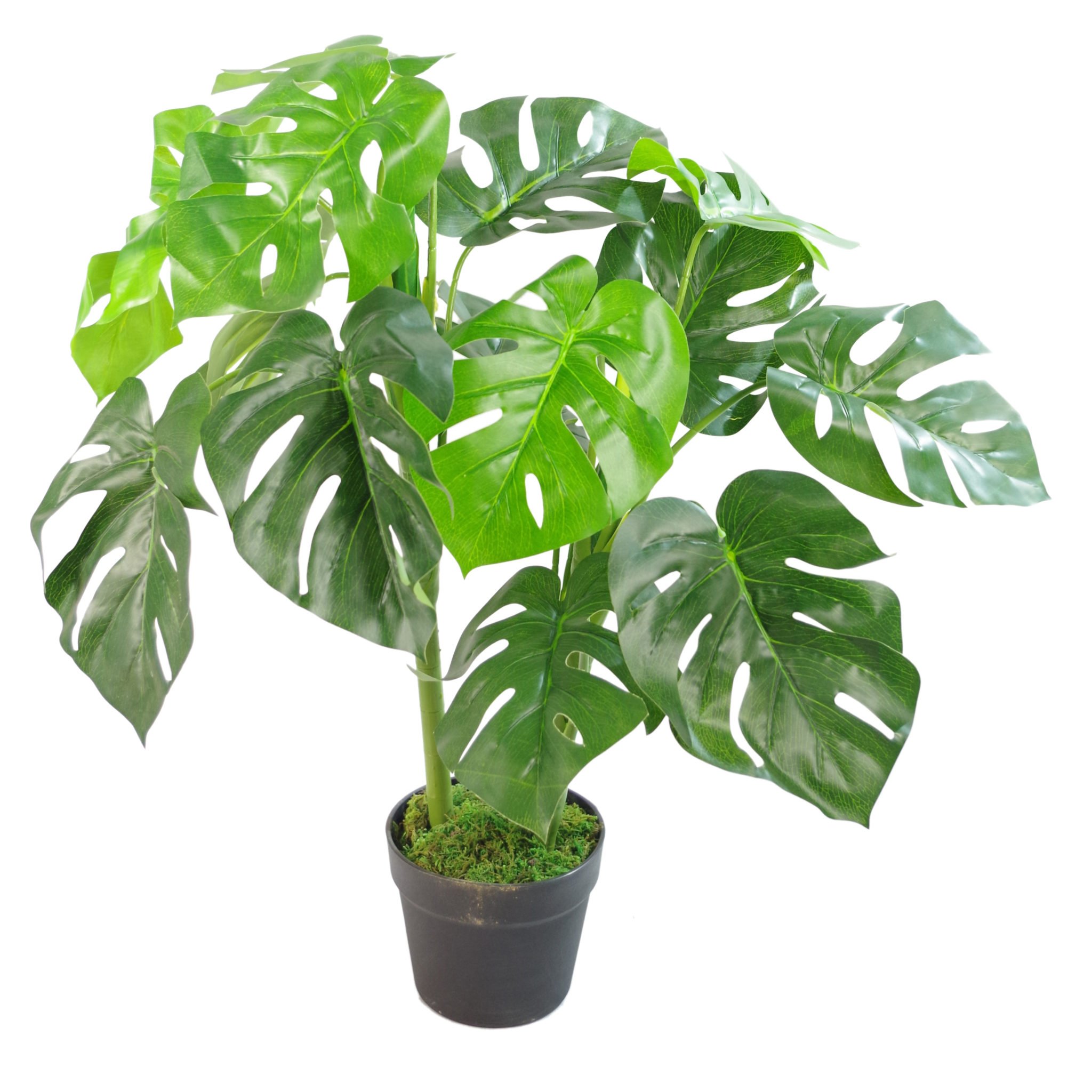 Leaf LEAF-7151 Artificial Monstera Plant 80cm Black Pot