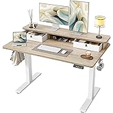 TIQLAB Standing Desk with Two Drawers, Stand Up Standing Desk Adjustable Height, Electric Sit Stand Table with Storage Shelf 