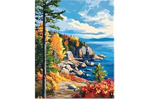 CAWPOM Acadia National Park Paint by Number, Maine Landscape Paint by Numbers Kit for Adults, Mountains Tree Acrylic DIY Oil Painting on Canvas for Gift, Home Wall Decor(16x20inch, No Frame)