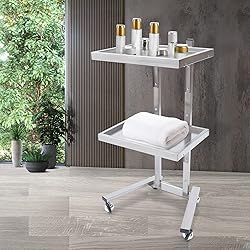 CHINEGER 2 Tier Metal Rolling Cart Foldable Salon