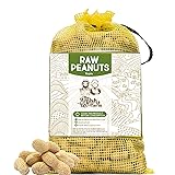 THE AMISH ECO-FARM | Fancy Size | Bulk Raw Peanuts