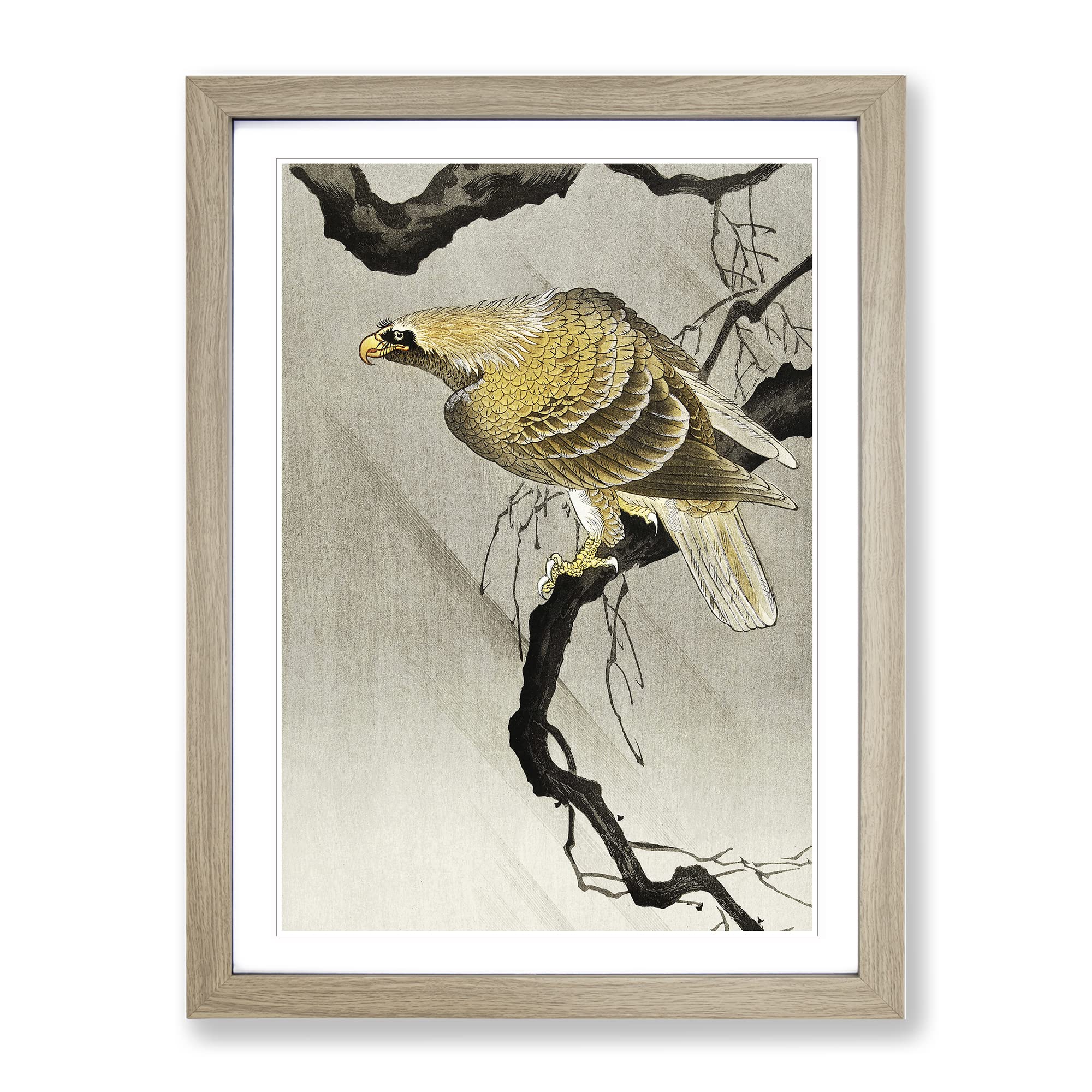 Eagle In The Tree By Ohara Koson Asian Japanese Framed Wall Art Print, Ready to Hang Picture for Living Room Bedroom Home Office Décor, Oak A4 (34 x 25 cm)