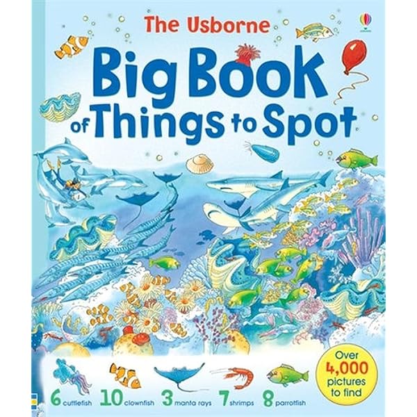 その他 My Big Book of Words fun and adventures Amazon.co.jp: DWE MY BIG BOOK OF WORDS マイビッグブックオブ