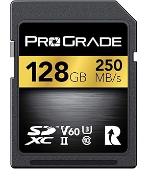 ProGrade Digital Cartão de memória CFexpress tipo B de 165 GB