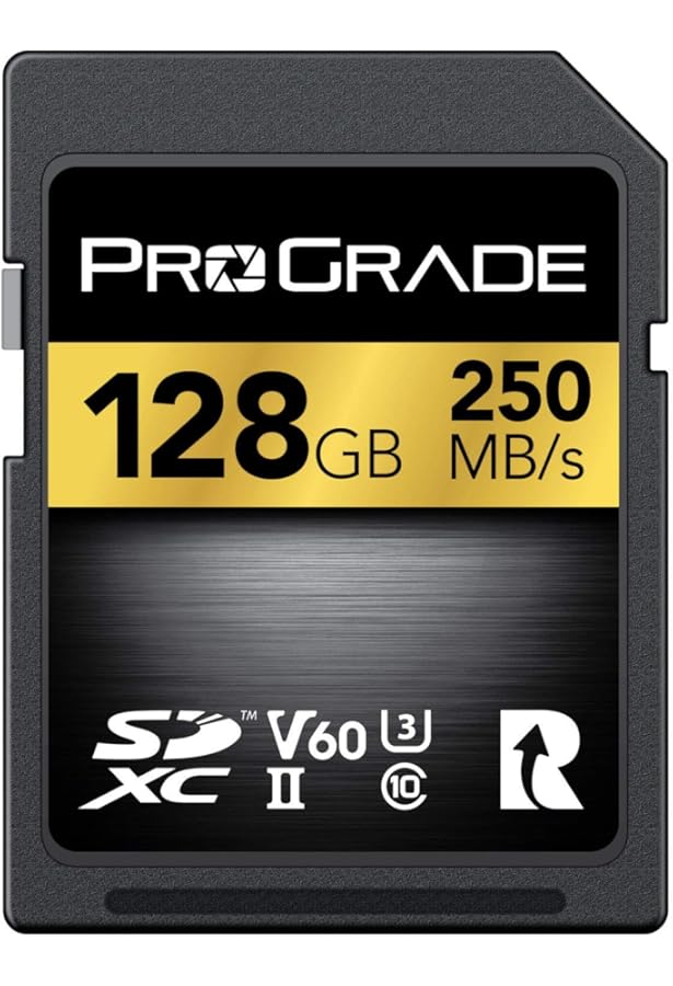 Amazon.com: ProGrade Digital SDXC UHS-II V90 300R Memory Card