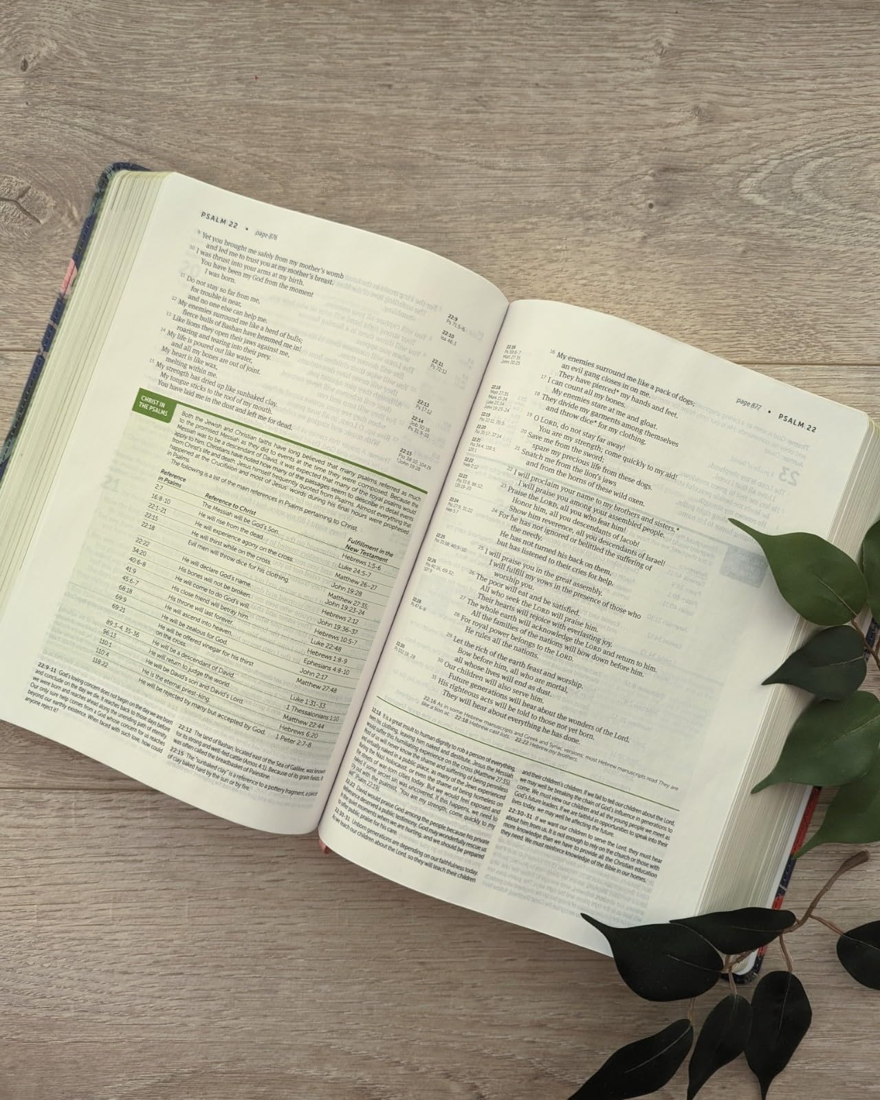 NLT Life Application Study Bible, Third Edition (LeatherLike, Pink Evening Bloom, Red Letter) NLT Life Application Study Bible, Third Edition (LeatherLike, Pink Evening Bloom, Red Letter) Imitation Leather