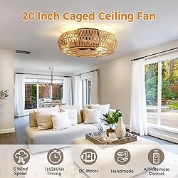 Mcestna Caged Ceiling Fan with Lights - 20 Inch