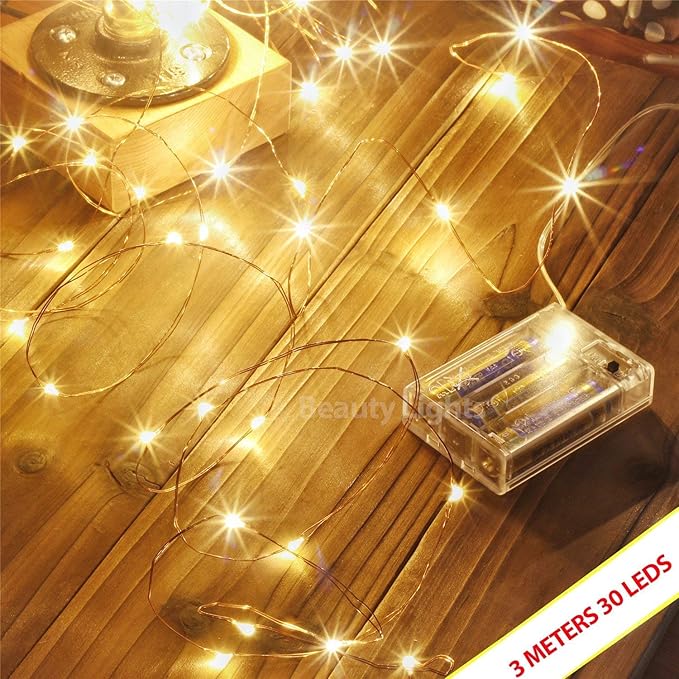 LTETTES Copper String Lights 3 AA Battery Operated Portable LED String Lights, Fairy Lights Decoration Party Wedding Diwali Christmas Lights (3 Meters 30 LED)