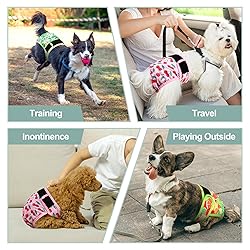 Female Dog Diapers - Premium Reusable Diapers for