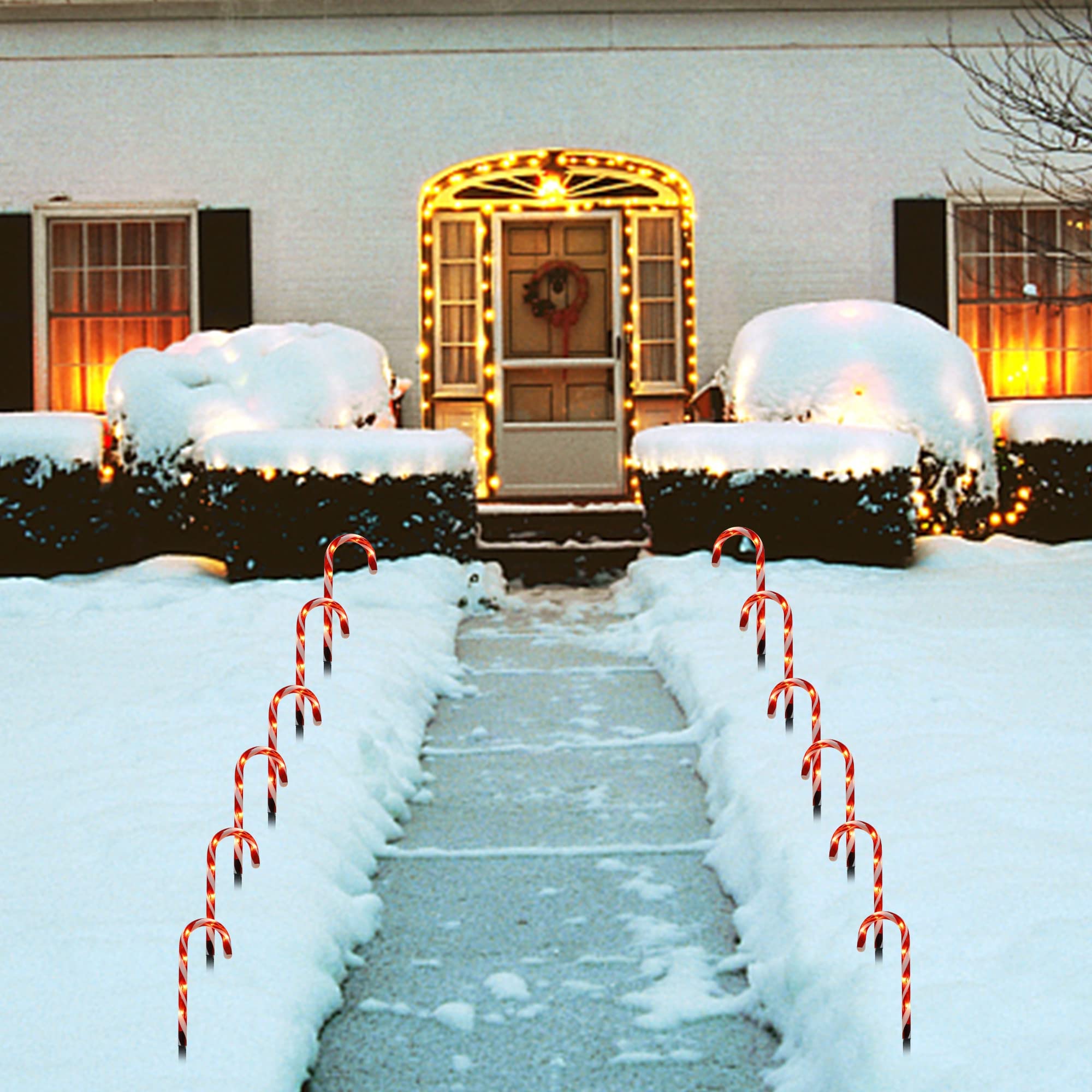 Christmas Candy Cane Lights
