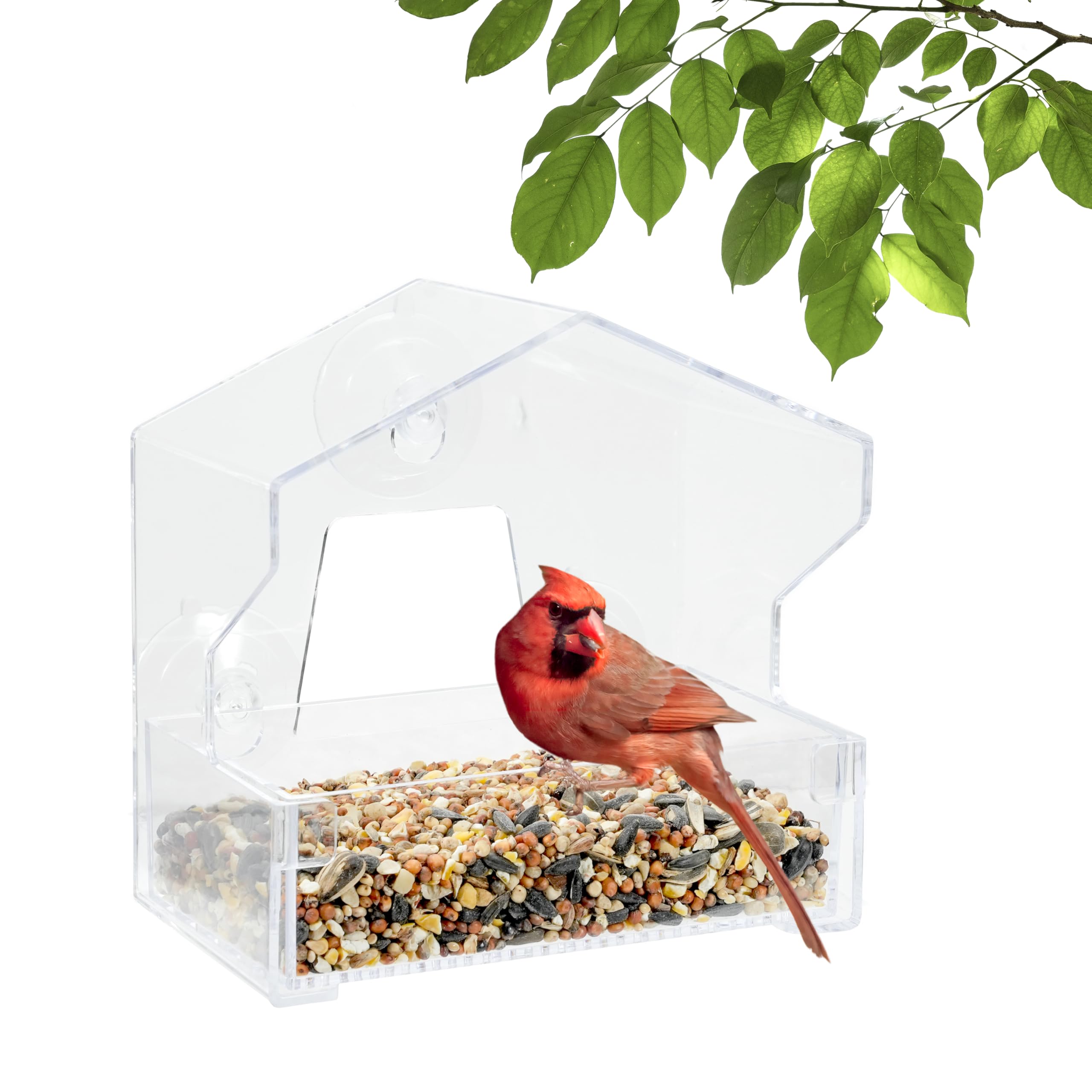 Perky-Pet 345 Clear Outdoor Window Bird Feeder with Strong Suction Cups – 1/2 Lb Seed Capacity