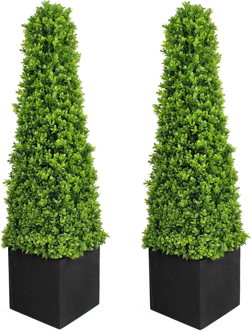 Super Saturday GreenBrokers 2 X Premium Quality Artificial Boxwood