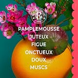 Roger & Gallet Fleur de Figuier Wellbeing Fragrance 100ml view 3