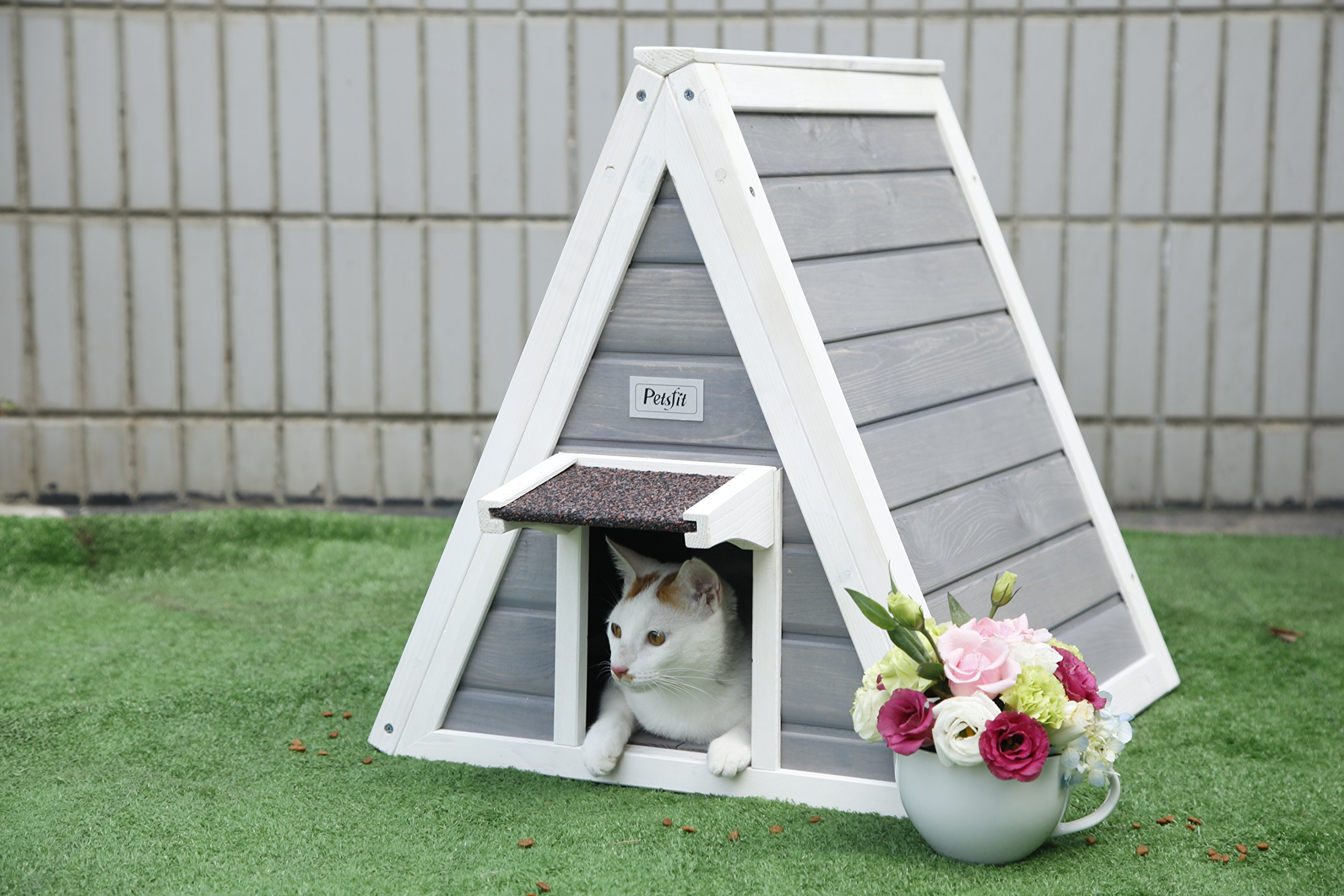 10 Best Outdoor Cat Houses Reviews + Guide