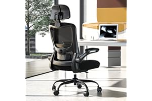 Zeonsit Ergonomic Office Chair, High Back Mesh Desk Chair with Adjustable Lumbar Support & Headrest, Flip-up Armrest, Compute
