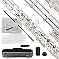 BAHAMUT B Foot Flute, 17 Open Hole Flauta with Offset G, Split E Mechanism, 17 Key Flute Instrument for Professional Performance