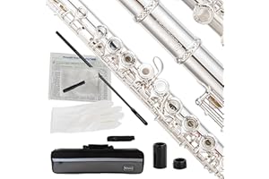 BAHAMUT Carving B Foot Flute, 17 Open Hole Flauta with Offset G, Split E Mechanism, 17 Key Flute Instrument for Professional Performance