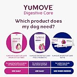 YuMOVE Digestive Care Rapid Dog Pre Probiotic Paste 2 x 60ml Large Dogs view 5