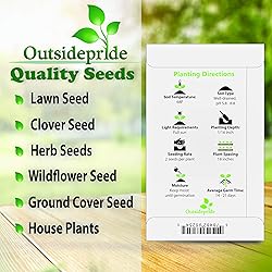 Outsidepride 10000 Seeds Perennial Chrysanthemum