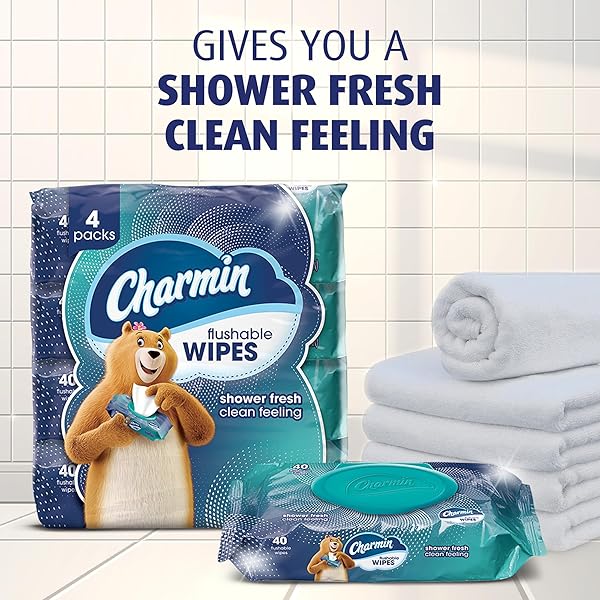 CHARMIN FLUSHABLE WIPES, 160 TOTAL WIPES (4 PACKS OF 40)