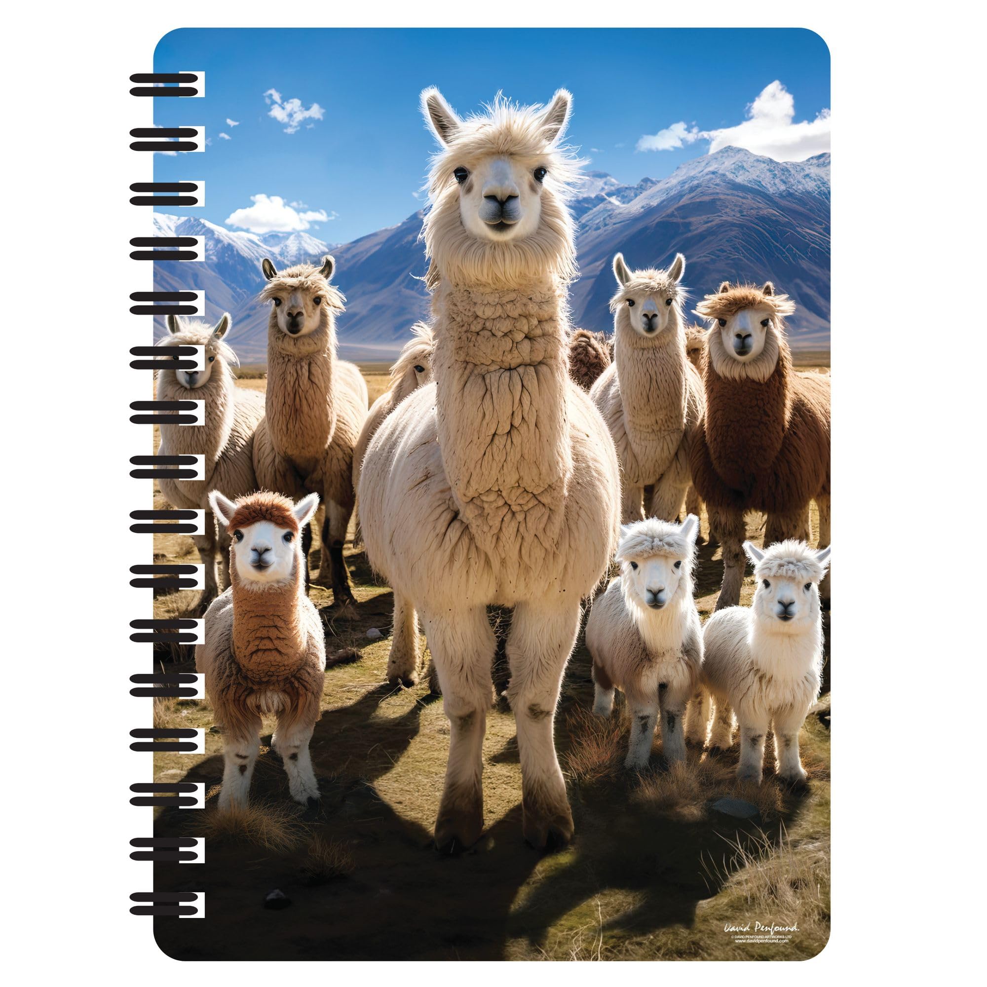 3D LiveLife Jotter - Llamarama from Deluxebase. Spiral Bound A6 Notebook with 80 Plain Recycled Pages. Pocket Sized Animal Notepad, Journal or Drawing Book with Llama Cover