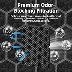 116130 HEPA Toxin Absorber Replacement Filter H for