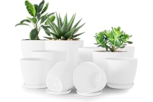 Utopia Home Pack of 10 - Plastic Plant Pots - Planters for Indoor Plants Saucer Tray - Nursery Pots Indoor with Drainage Hole