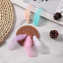 Soarer 300pcs Macaron Rooster Feathers Bulk