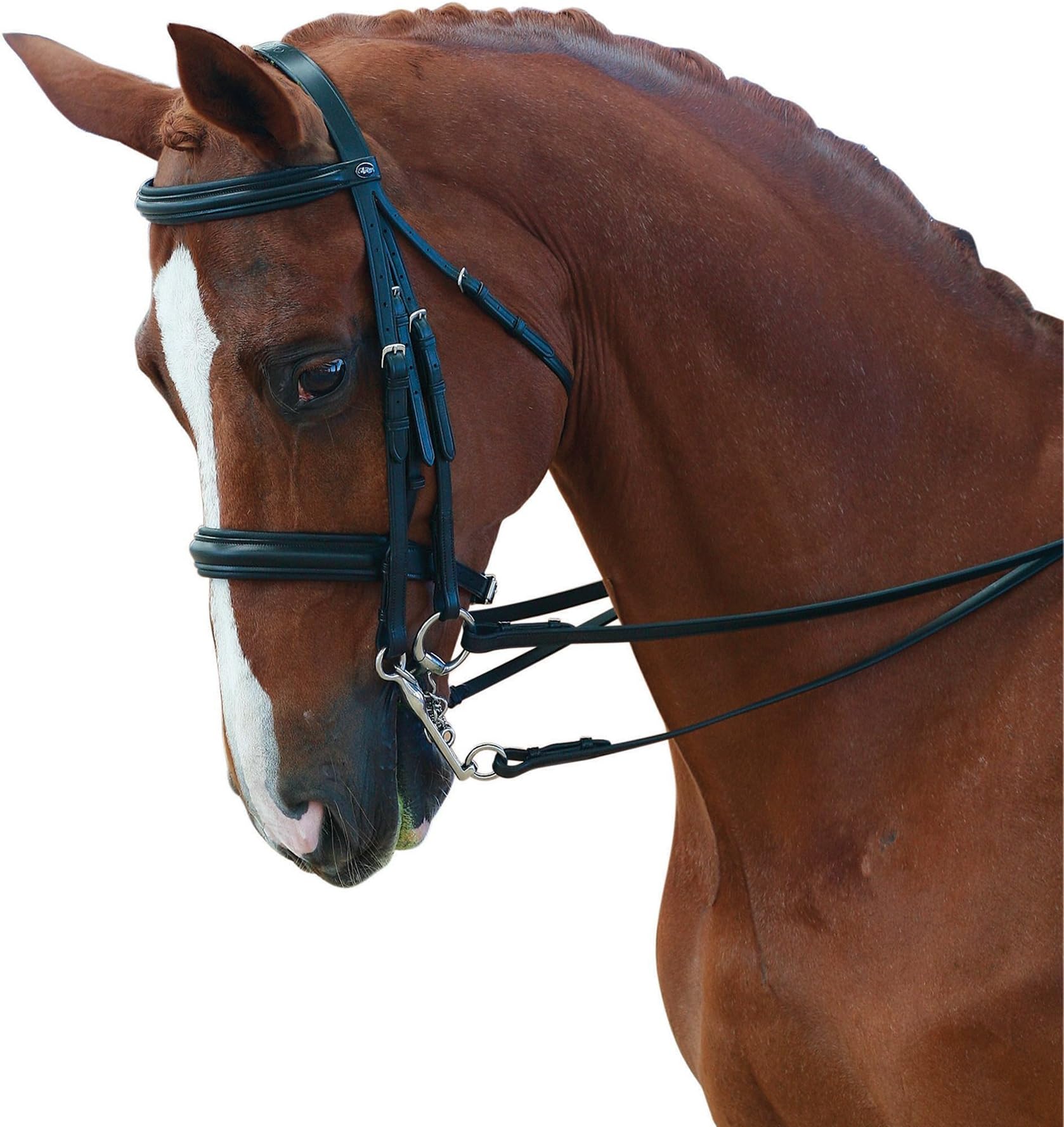 Collegiate Raised Weymouth Bridle-Black - Full