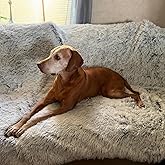 PJYuCien Dog Blanket for Medium Large Dogs, Large Pet Blankets with Reversible Fleece, 60"x50" Washable Calming Pet Throw for Couch/Bed, Grey, Indoor