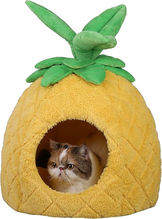 pineapple cat bed