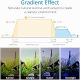 NICREW SlimLED Aquarium Plants Light 75-95 cm with Timer Extendable Brackets view 6