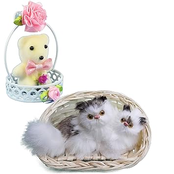 cat teddy bear gift
