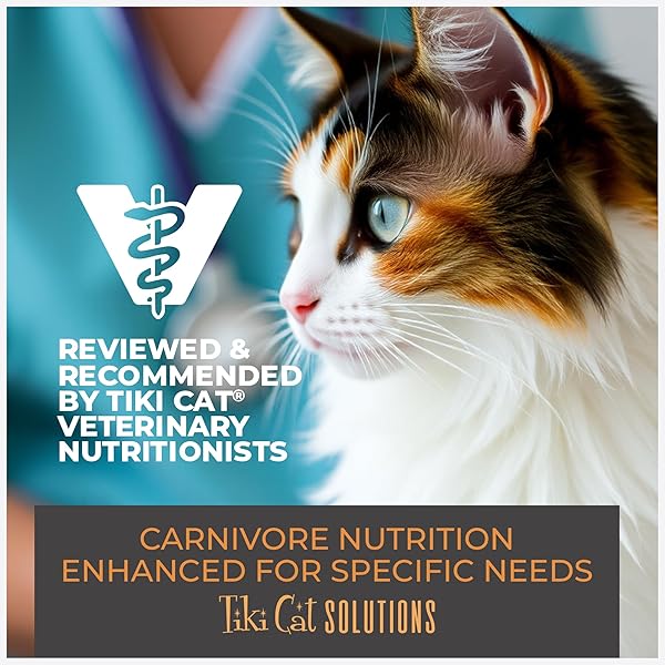 TIKI CAT SOLUTIONS MOUSSE SKIN & COAT MOUSSE, SALMON RECIPE, SPECIALLY FORMULATED WITH OMEGA FATTY ACIDS, FUNCTIONAL WET CAT FOOD FOR ADULT CATS, 2.4 OZ. POUCH (12 COUNT)