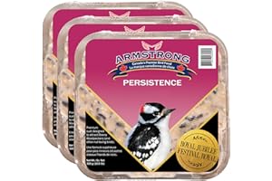 Armstrong Royal Jubilee Suet, Persistence, Wild Bird Food for Woodpeckers (3 Pack) 900g