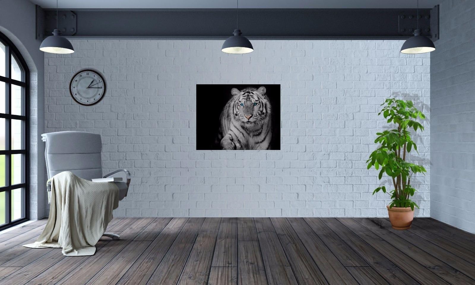 Wallpaper White Tiger Blue Eye Stare Nature Wildlife Wall Mural Photo - L