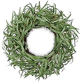 Briful 24'' Eucalyptus Wreaths for Front Door Decor, Spring Wreaths for Front Door, Realistic Year Round Willow Eucalyptus with Seeds Artificial Wreaths for Home Indoor Farmhouse Mantle