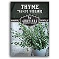 Survival Garden Seeds - Thyme Seed for Planting - Packet with Instructions to Plant and Grow Thymus Vulgaris Herb Plants in Your Home Vegetable Garden - Non-GMO Heirloom Variety - Edible Thyme Seeds