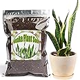 Doter Premium Snake Plant Soil Mix 1qt, Indoor Plants Potting Mix for All Potted Snake Plants, Promote Healthy Growth and Easy Care