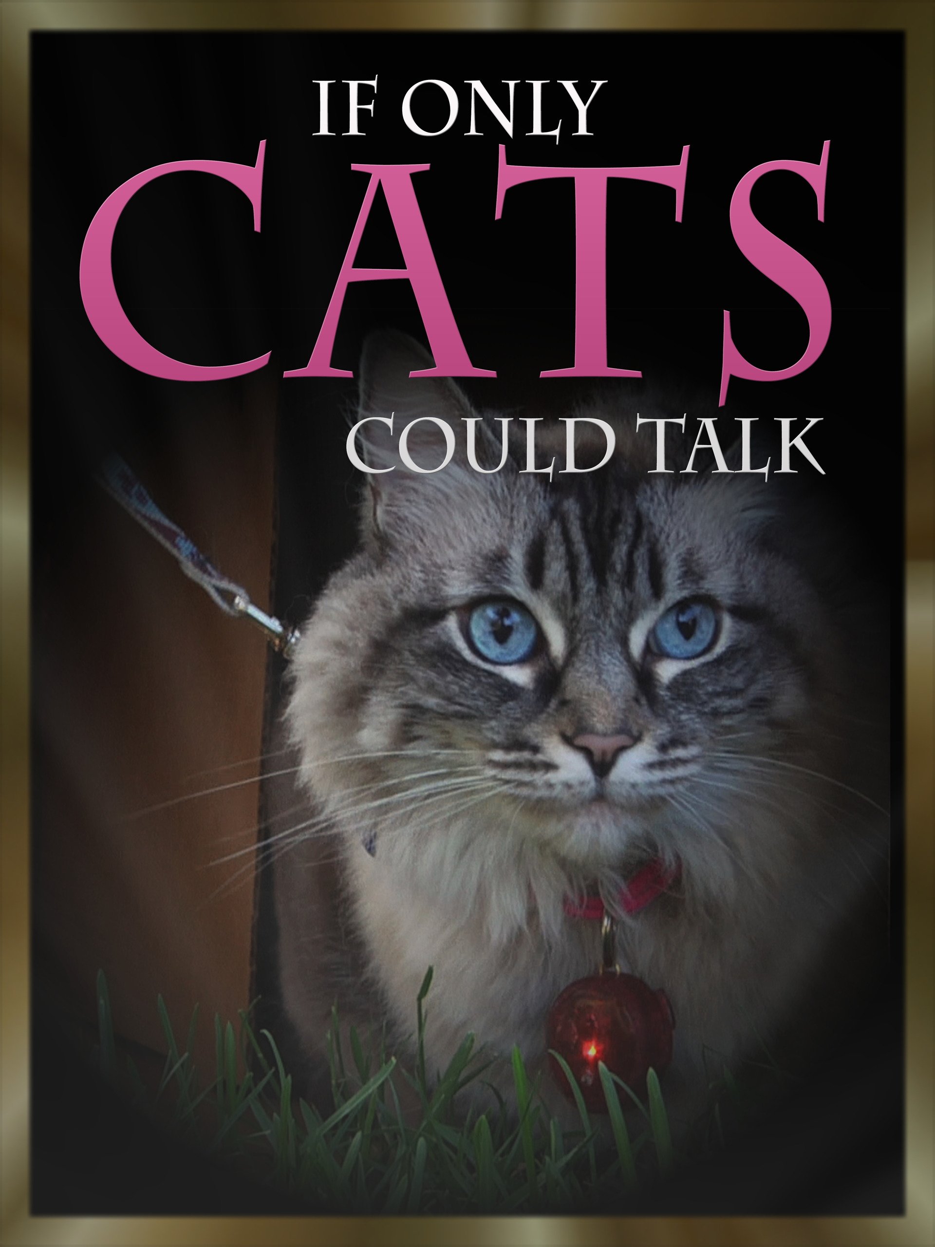 Watch 'If Only CATS Could Talk' on Amazon Prime Video UK NewOnAmzPrimeUK