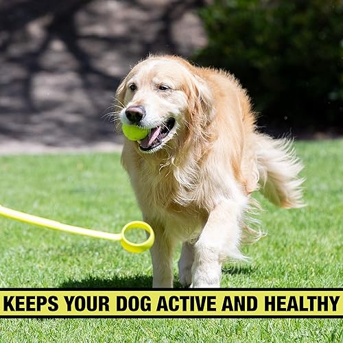 Hyper Fetch Ball Slinger For Dogs Hyper Pet Dog Ball Thrower