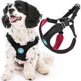 Gooby Escape Free Sport Dog Harness, Choke-Free, Black, Small | Patented escape-free frame; Reduces choking; 4-point adjustment; Soft neoprene padding; Durable webbed straps