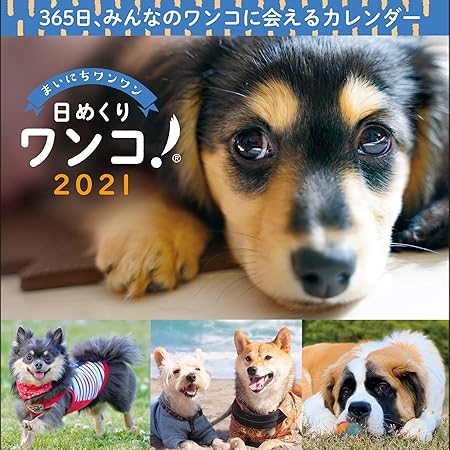 Amazon 日めくりワンコ 21年 卓上日めくりカレンダー犬版 カレンダー 文房具 オフィス用品