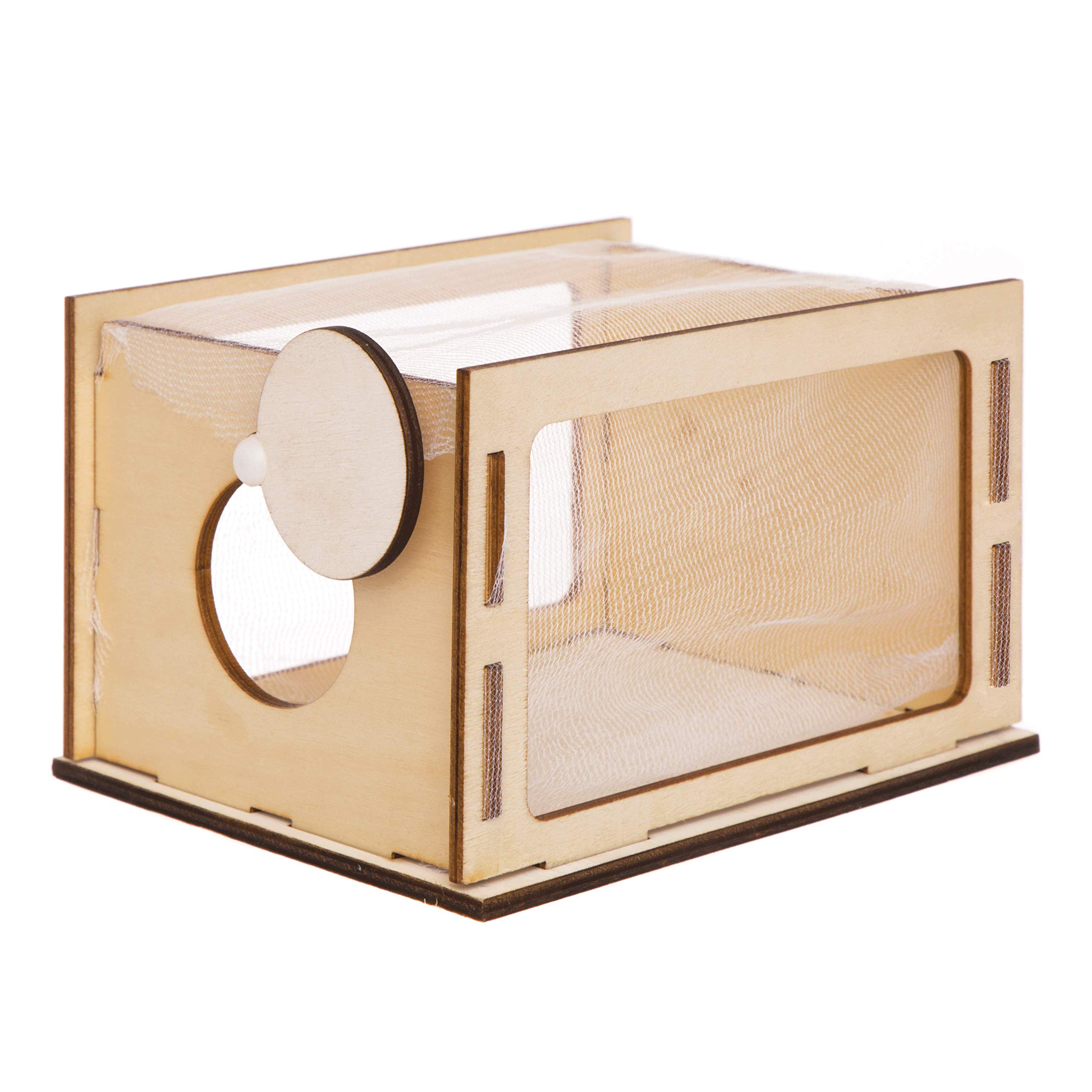 Baker Ross AW201 Observational Bug House Kits, Educational Activity (Pack of 2), Assorted, 1.5 cm*26.0 cm*20.0 cm