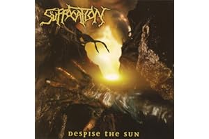 Despise The Sun