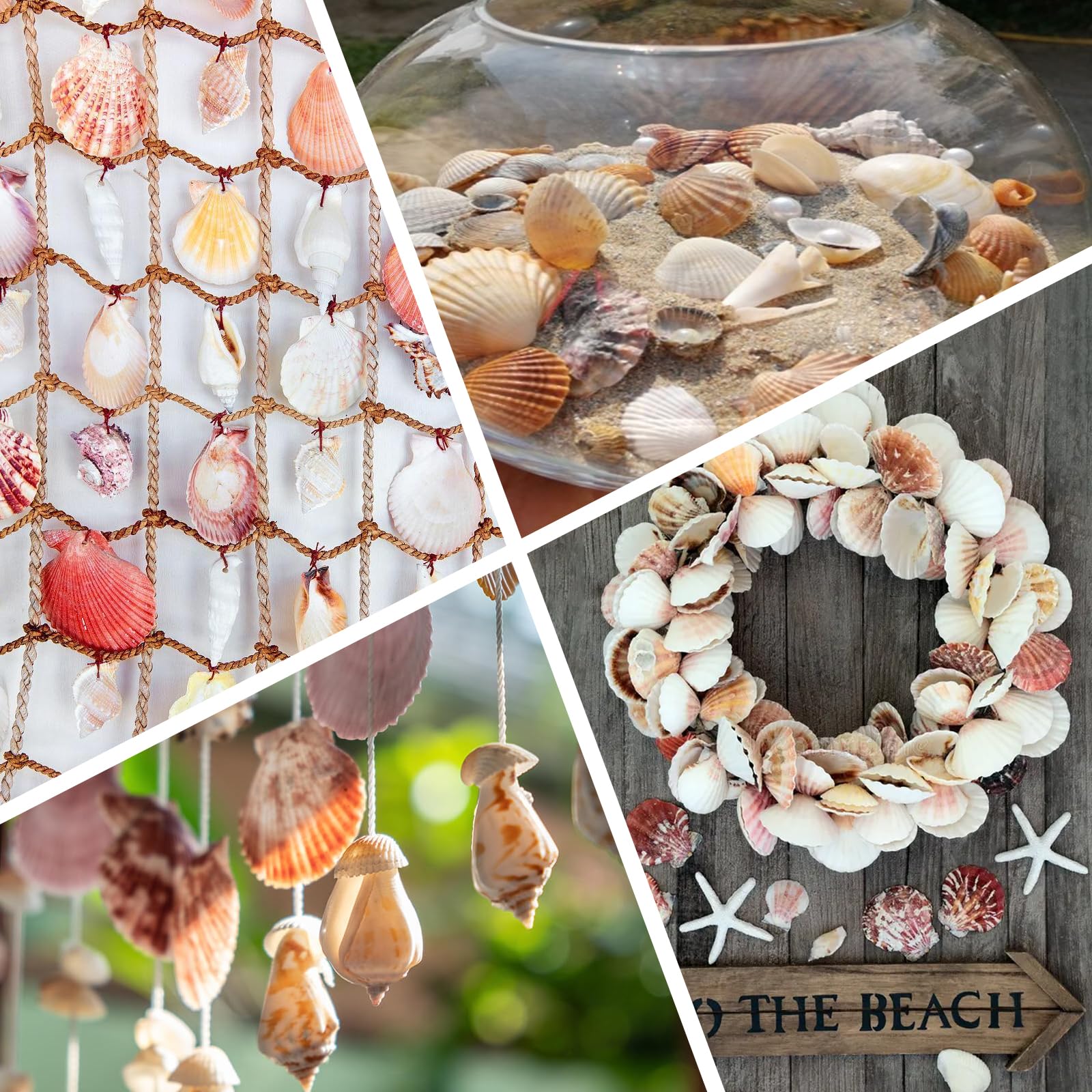 80+ Pcs Natural Seashells, Mixed Starfish Sea Shells for Crafts, Various Sizes Ocean Shells Conch for Decorating, Beach Theme Party, DIY Crafts, Fish Tank Filling, Home Decor, Wedding Decoration